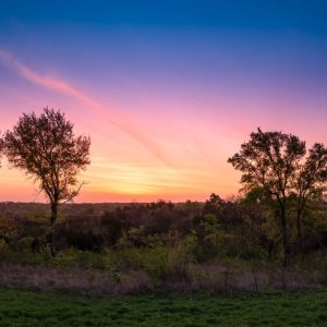 Limited Edition Print "Broadcasting from the Tandy Hills"