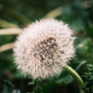 Limited Edition Print "It’s All There in the Details"