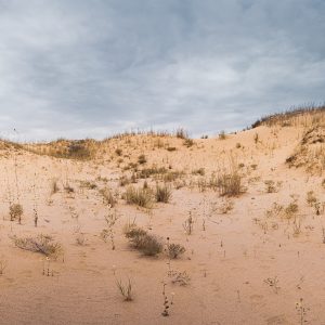 Limited Edition Print "Sandy Expanse"