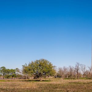 Limited Edition Print "The Battleground"