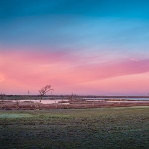 Limited Edition Print "Wide Open"